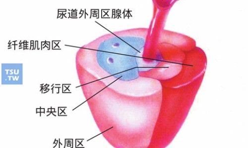权威同仁堂血脂康胶囊价格平台,分享专业同仁堂遐龄胶囊的知识_同仁堂止泻胶囊网