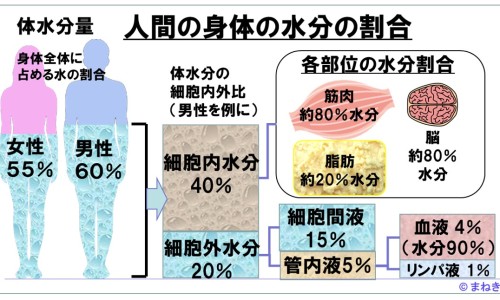 同仁堂水蛭胶囊价格-权威同仁堂血脂康胶囊价格平台,分享专业同仁堂遐龄胶囊的知识_同仁堂止泻胶囊网